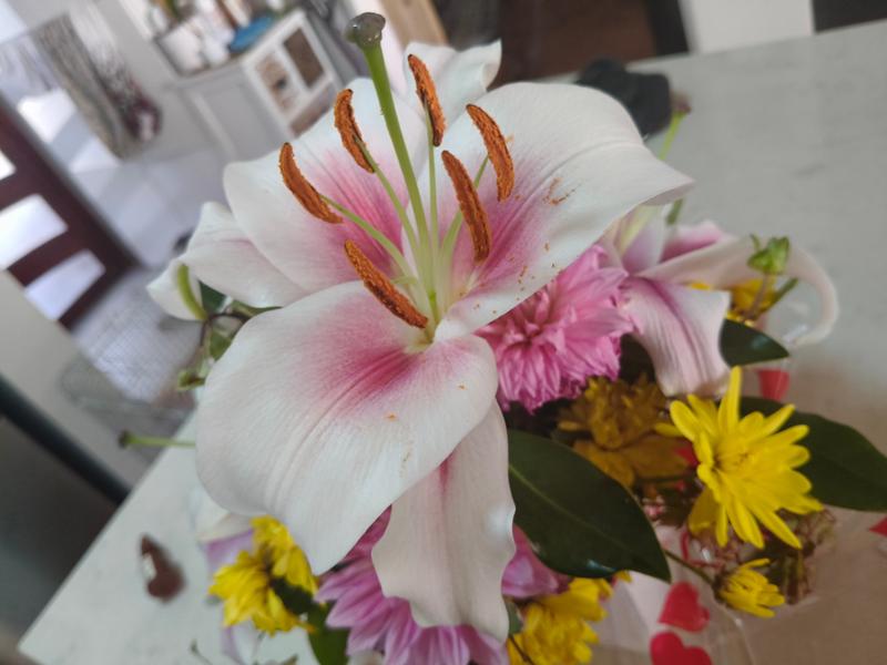 Bas quality flowers and delivery. Flowers should not die within 36hrs