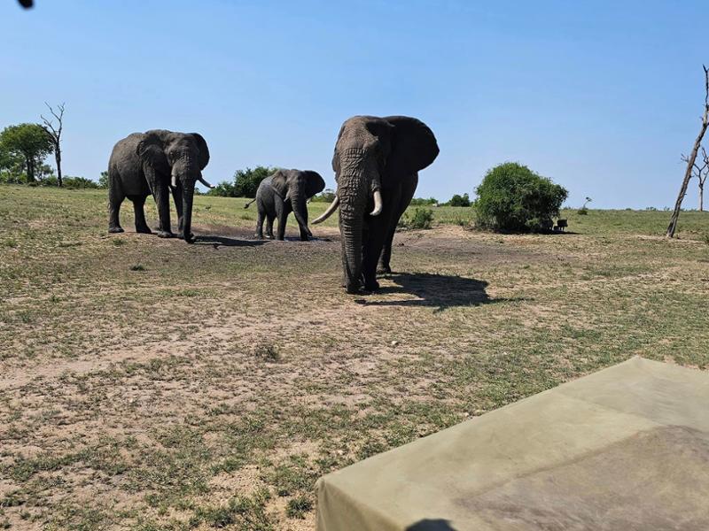 South Africa Dec 2024