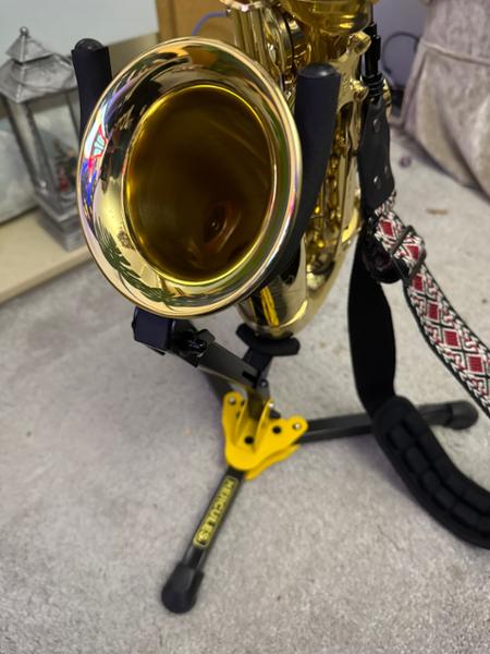My first saxophone and accessories. Just perfect