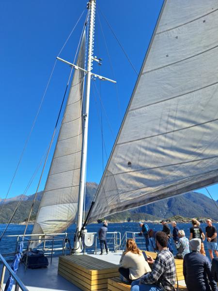 Doubtful Sound Overnight Cruise - Fiordland Navigator - Doubtful Sound