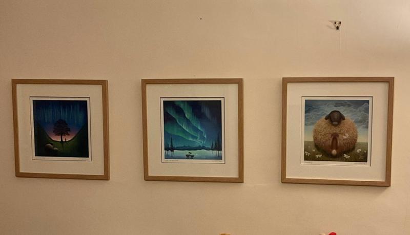 Attractive frames at a reasonable price. Overall brilliant value.