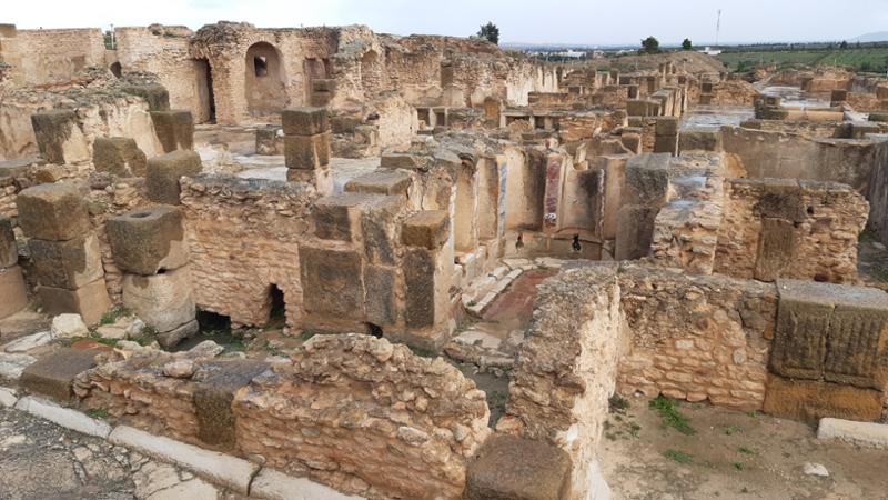 Tunisia's Ancient Cities: Carthage to El Djem 