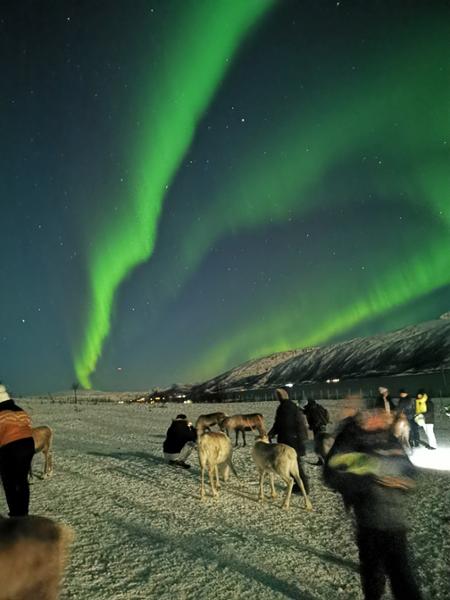 A Super Arctic Experience