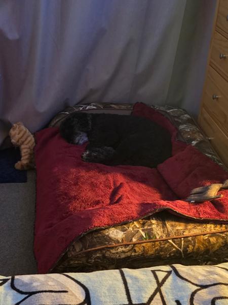 Lovely bed