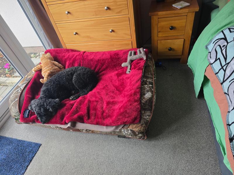 Lovely bed