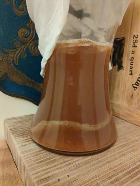 Happy with my SCOBY