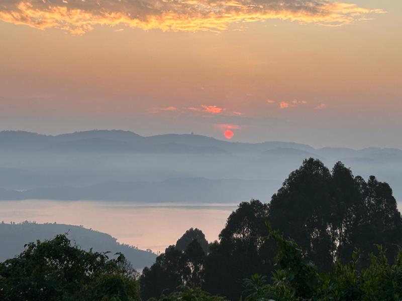 Awesome Africa
