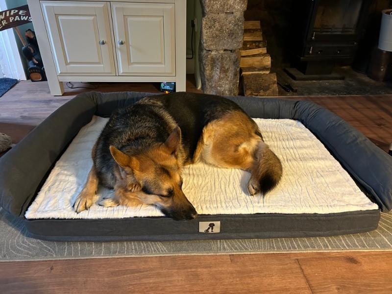 Grayson Luxury Memory Foam Dog Bed XL 120x80cm