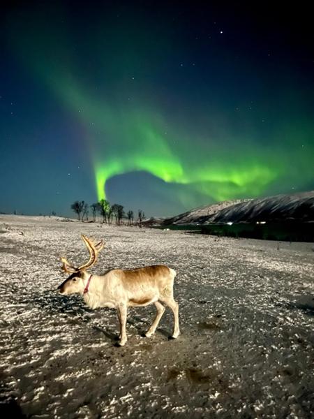 Amazing Tour for the Northern Lights