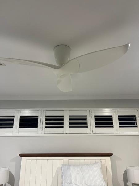 Great fan