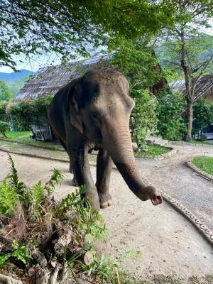 Best of Thailand