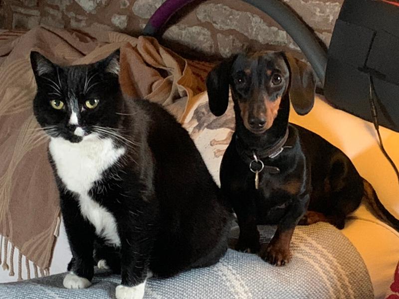 Excellent company and dog food.