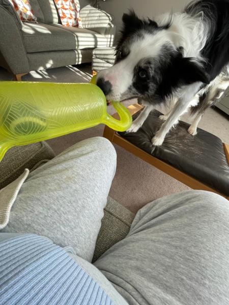 KONG Jumbler Tug