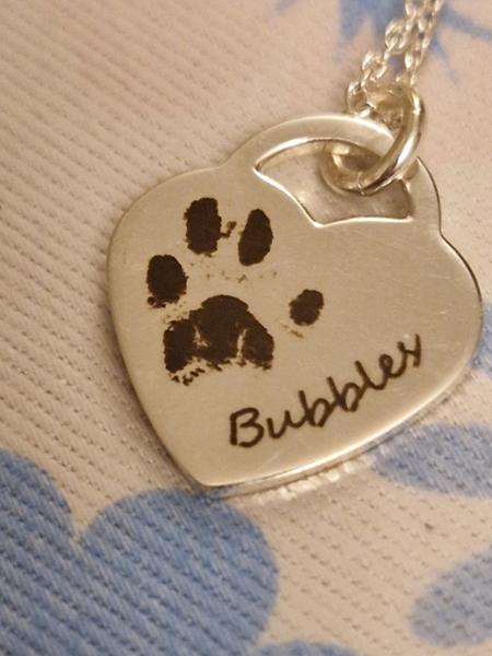 Love it! 🐾 ❤️