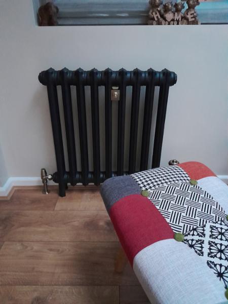 Royal Georgian 2 Column Cast Iron Radiator H640mm x W566mm
