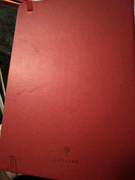 Collins Legacy - 2025 Daily Lifestyle Planner - A5 Day-to-Page Diary with Appointments (CL51-25) Lilac