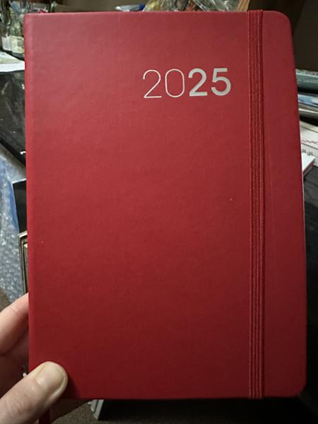 Collins Legacy - 2025 Daily Lifestyle Planner - A5 Day-to-Page Diary with Appointments (CL51-25) Lilac