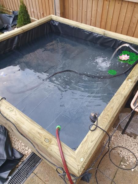 What a great pond choice!