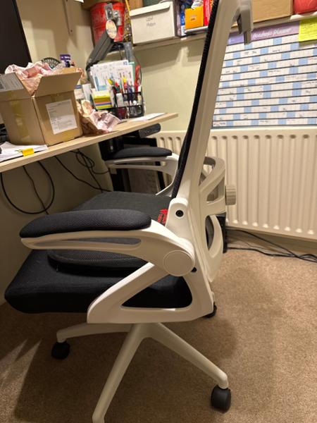 Ergo office chair from Chairoffice