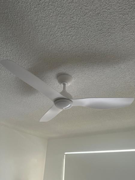 Great Fan