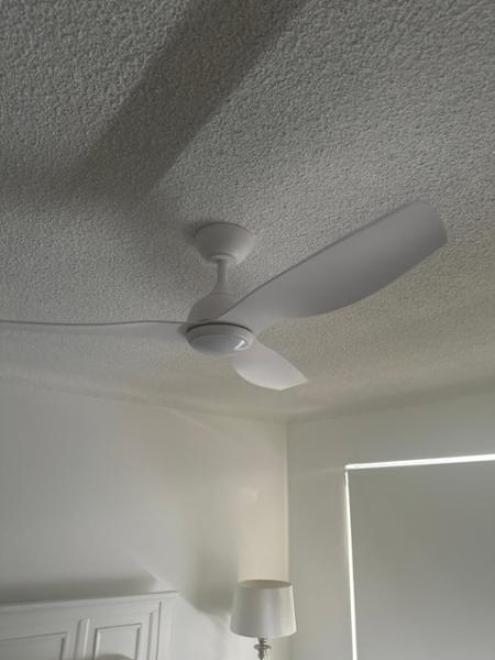Great Fan