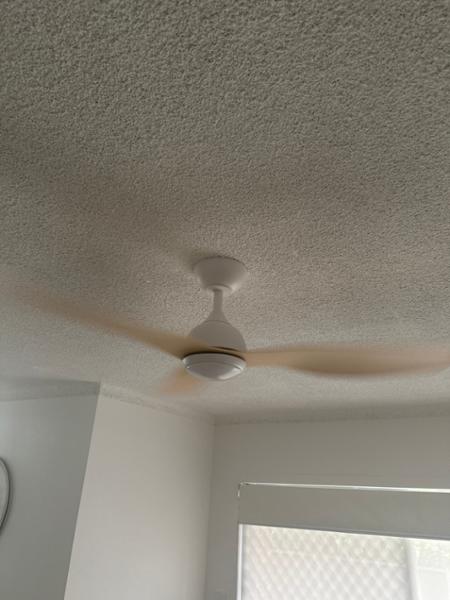 Great Fan