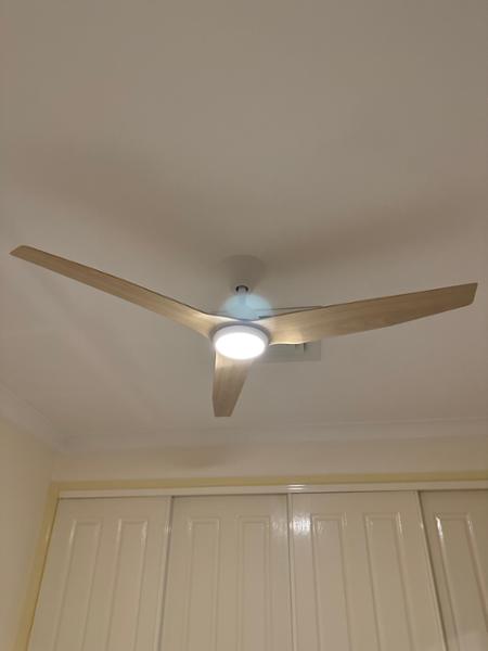 Great fan