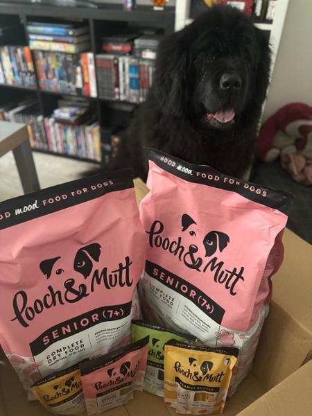 We love Pooch & Mutt