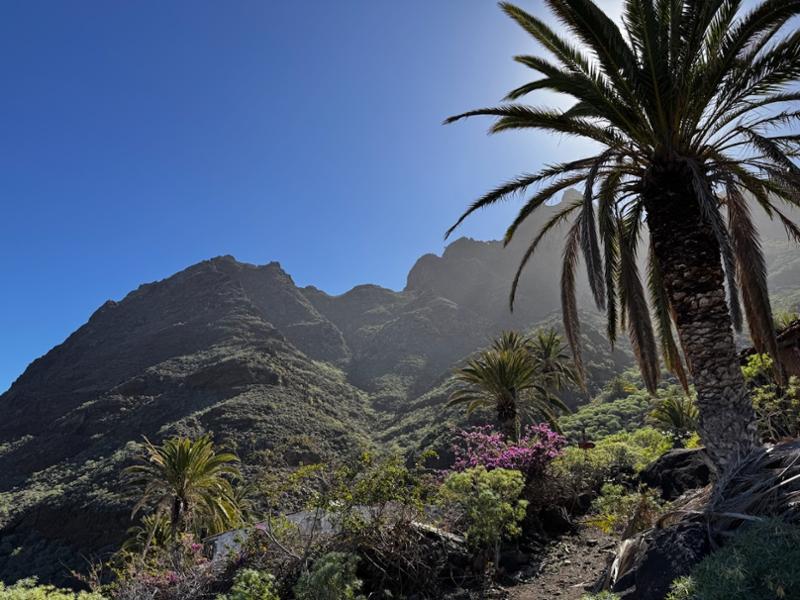 8-day La Gomera Walking Holiday