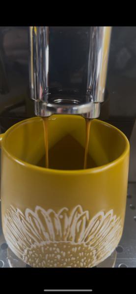 ECAM250.33.TB Magnifica S Smart Automatic coffee maker
