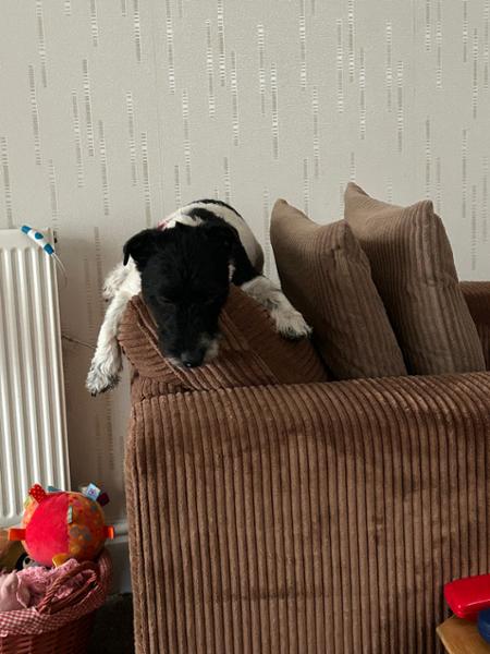 Lovely furniture, great value and quick delivery