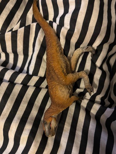 Everything Dinosaur, everything you need
