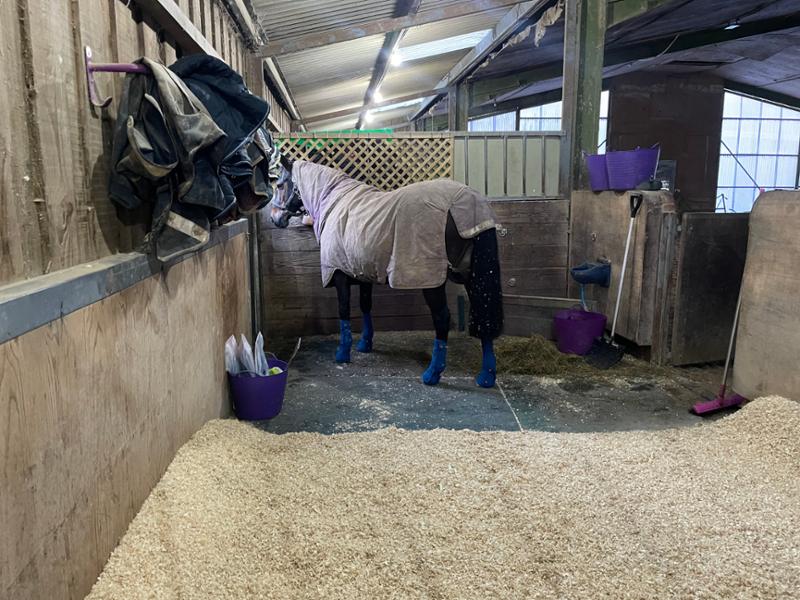 Equi-Chaps Close Contact Chaps