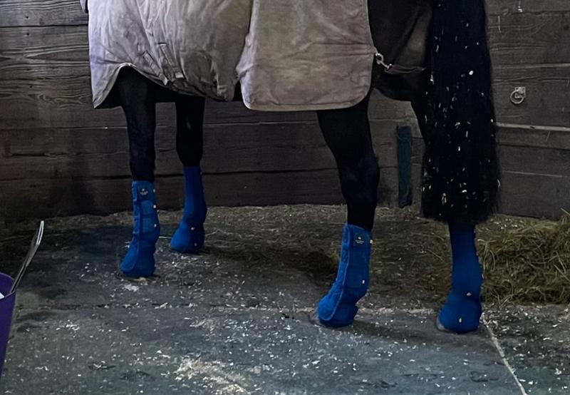 Equi-Chaps Close Contact Chaps