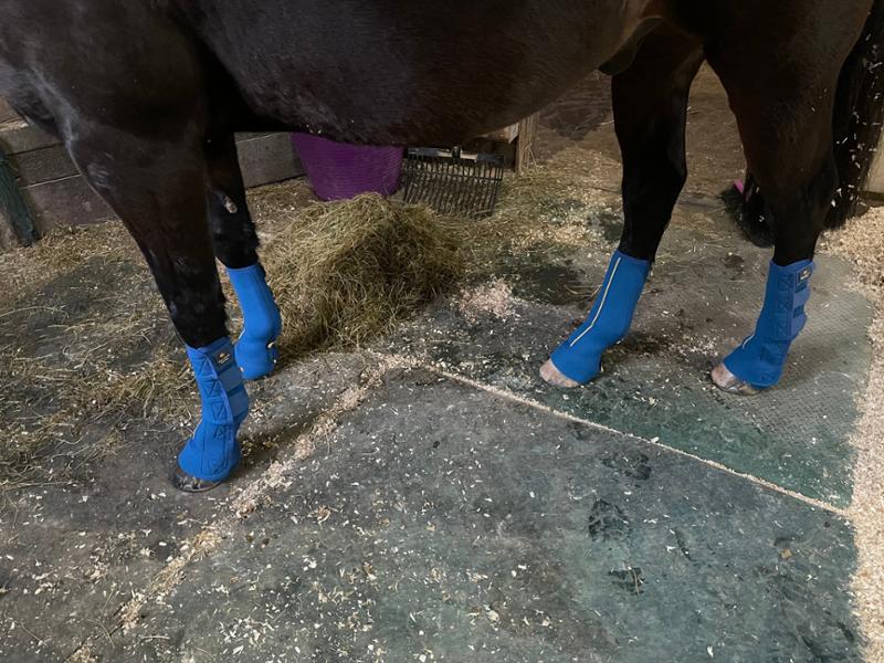 Equi-Chaps Close Contact Chaps