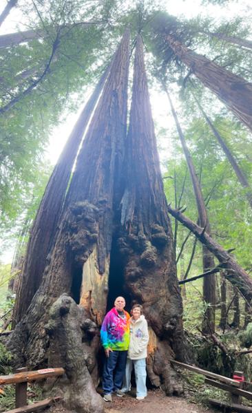 Muir Woods