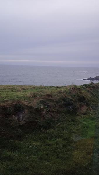 Wireless Cottage