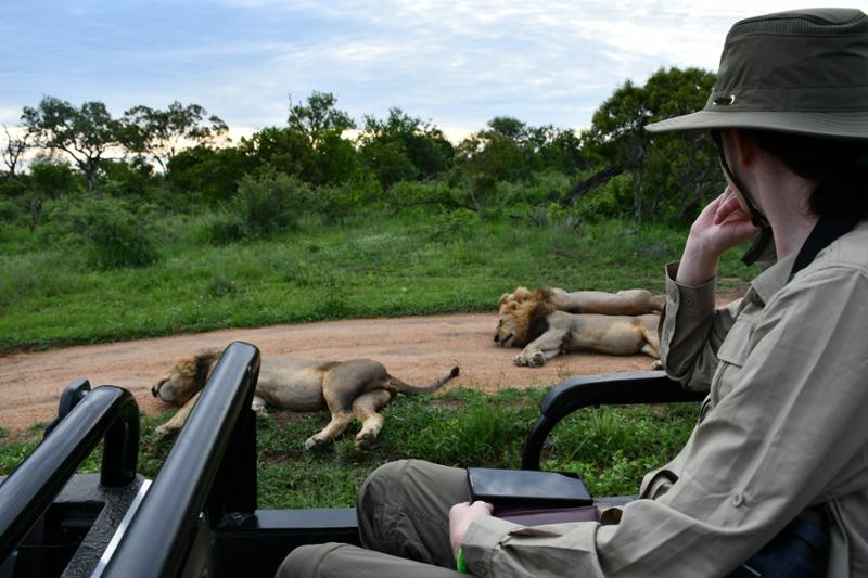 Sabi Sands Simbambili & ThornyBush Saseka Safari with go2africa