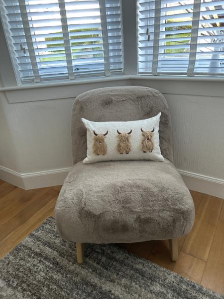 Lovely accent chair
