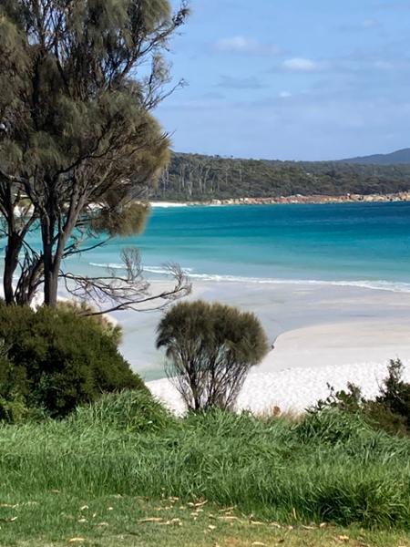 4301-Taste of Tasmania
