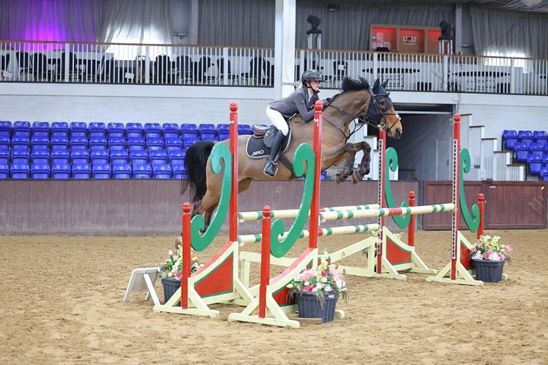 Great product for our veteran gelding