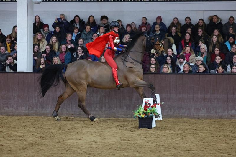 Great product for our veteran gelding