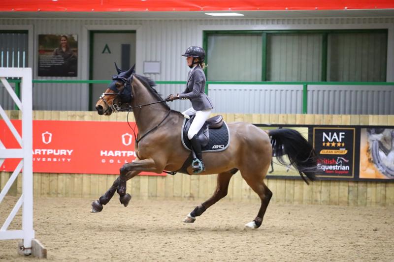 Great product for our veteran gelding