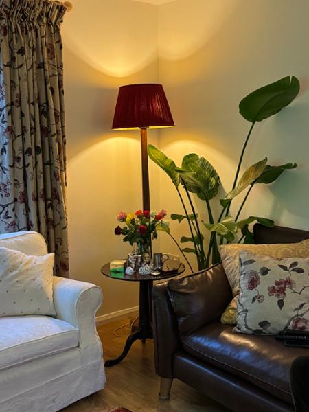 Burgundy and Gold pleated Lampshade