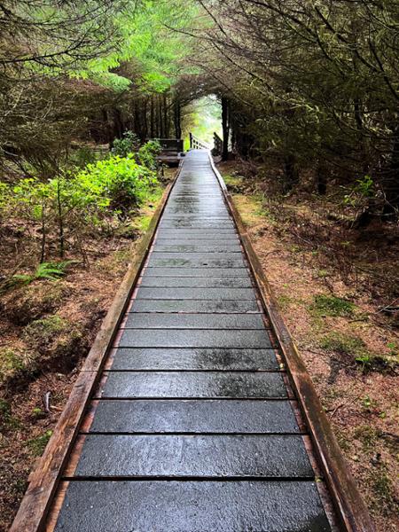 Haida Gwaii and Prince Rupert Adventure
