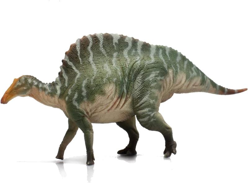 le sérieux, la connaissance, la beauté de ces splendides créatures !