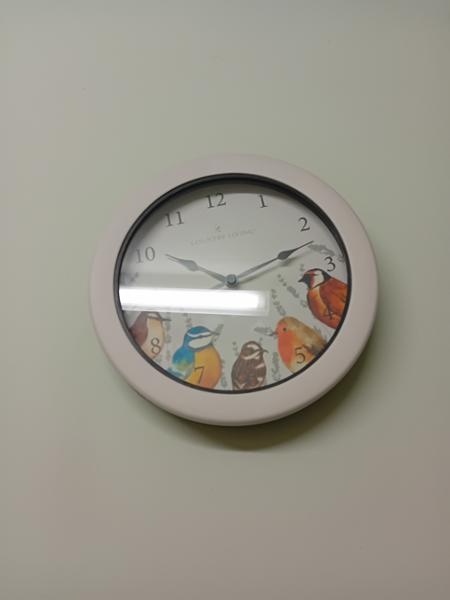British Birds Clock
