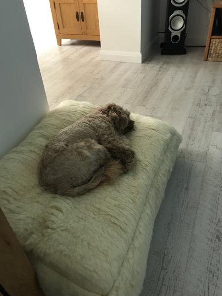 Luxury Wool Fleece Pet Bed-80 x 60cm - Medium