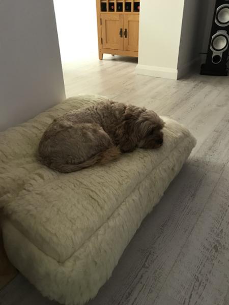 Luxury Wool Fleece Pet Bed-80 x 60cm - Medium