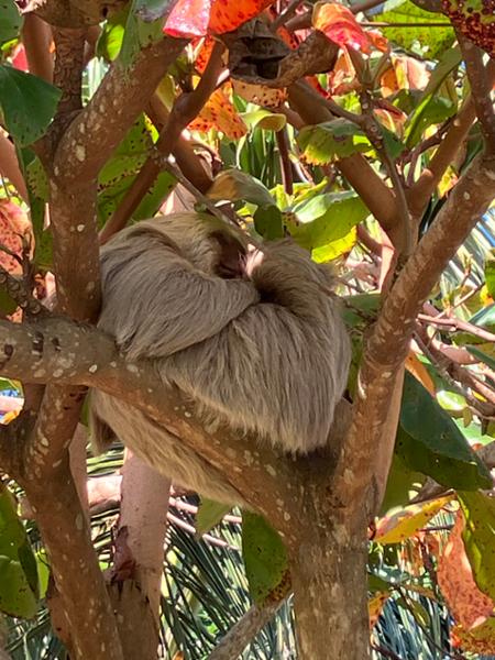 Pura Aventura delivered a hugely enjoyable Costa Rica adventure